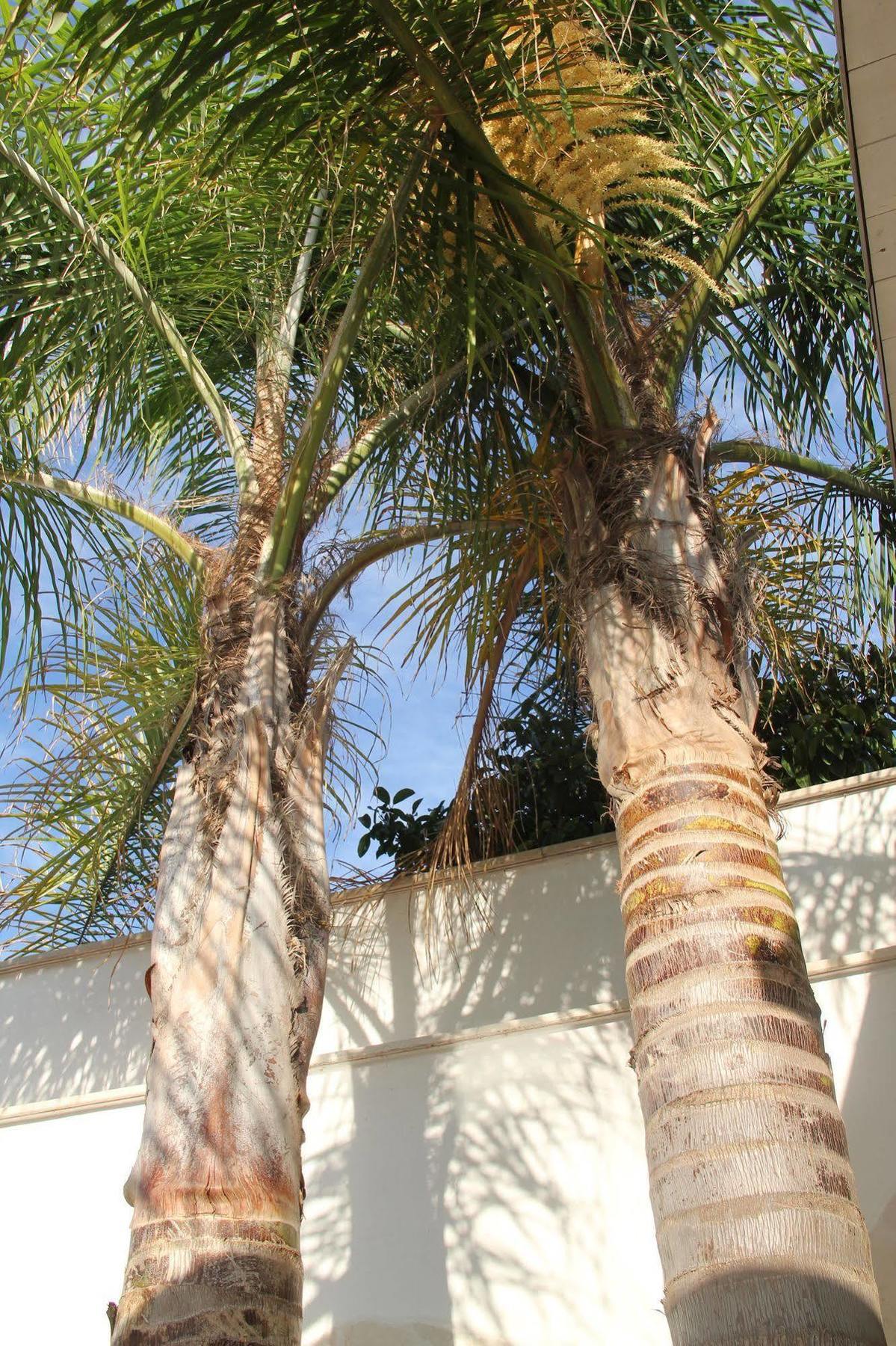 B&B Valentino Bari Exterior photo